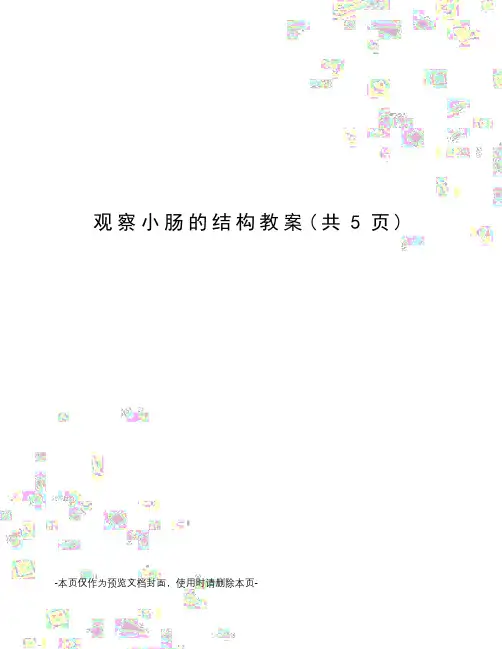 观察小肠的结构教案