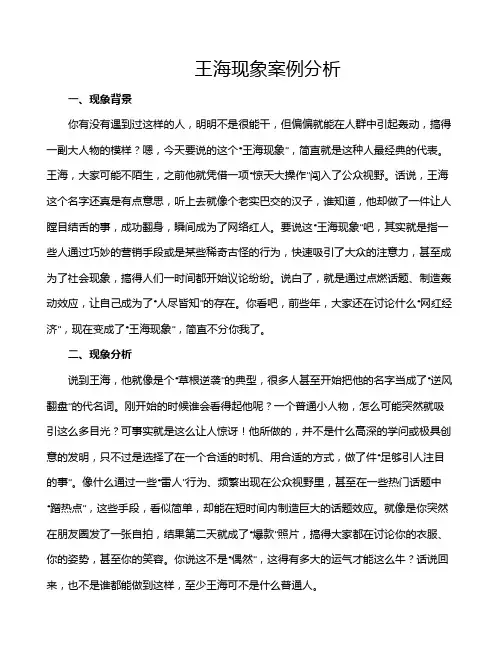 王海现象案例分析