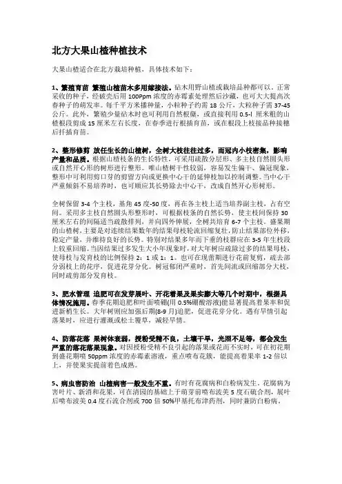 北方大果山楂种植技术