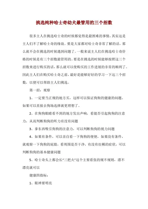 挑选纯种哈士奇幼犬最管用的三个招数