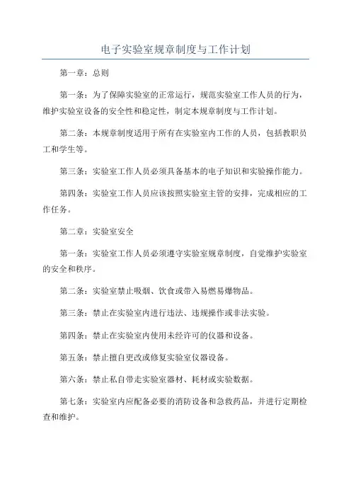 电子实验室规章制度与工作计划