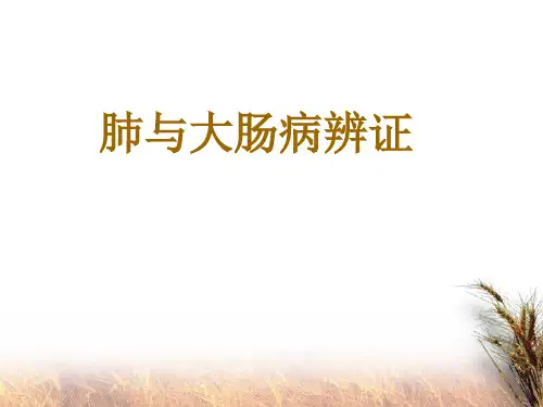 11、中医诊断学--脏腑辨证-肺与大肠