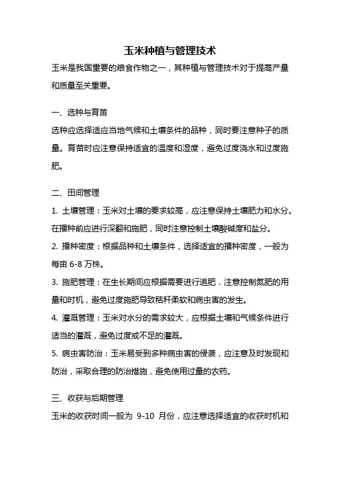 玉米种植与管理技术