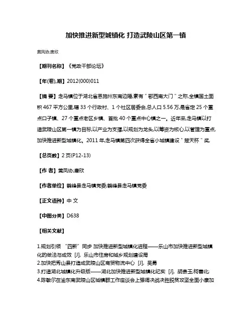 加快推进新型城镇化 打造武陵山区第一镇