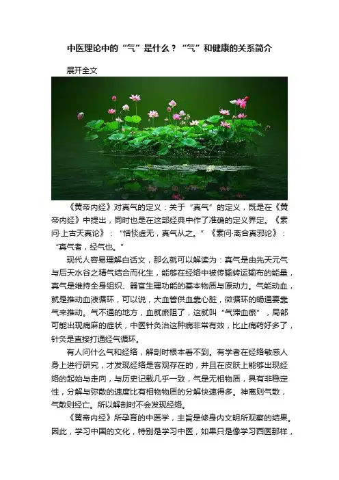 中医理论中的“气”是什么？“气”和健康的关系简介