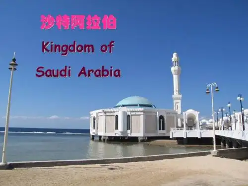 沙特阿拉伯