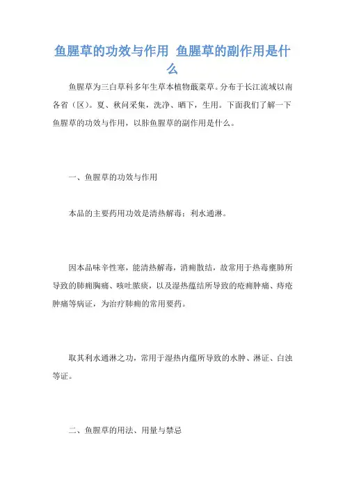 鱼腥草的功效与作用 鱼腥草的副作用是什么