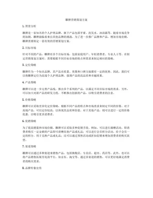 雕牌营销策划方案
