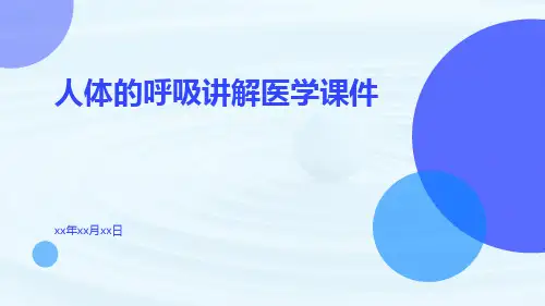 人体的呼吸讲解医学课件