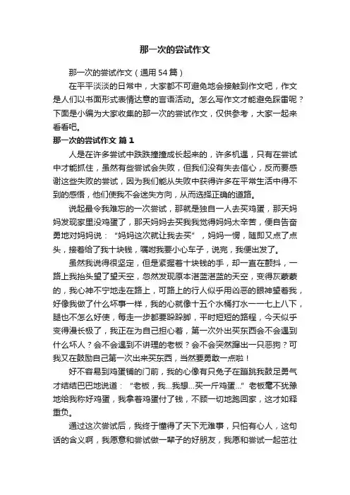 那一次的尝试作文
