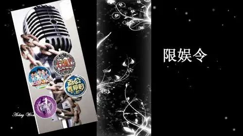 限娱令41002029
