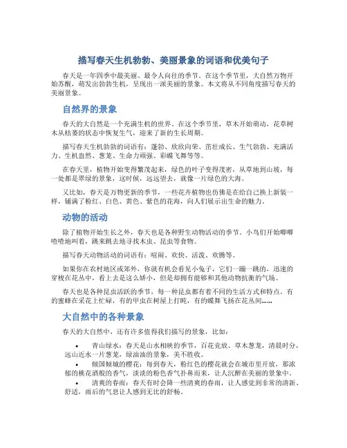 描写春天生机勃勃、美丽景象的词语和优美句子