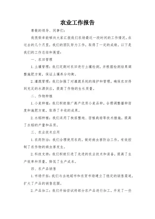 农业工作报告