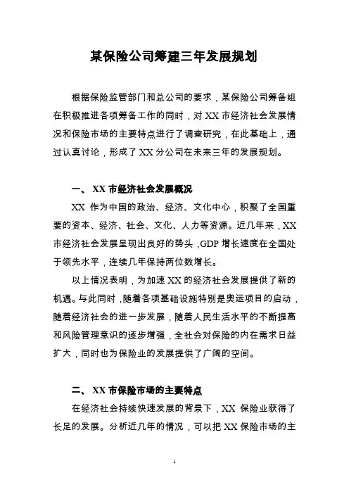 某保险公司筹建三年发展规划