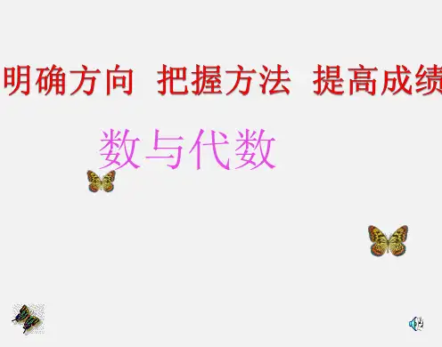 初中数学 数与代数课件