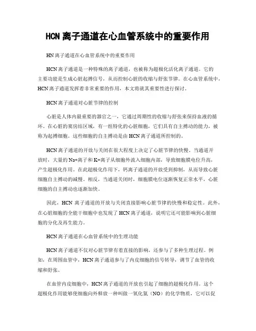 HCN离子通道在心血管系统中的重要作用