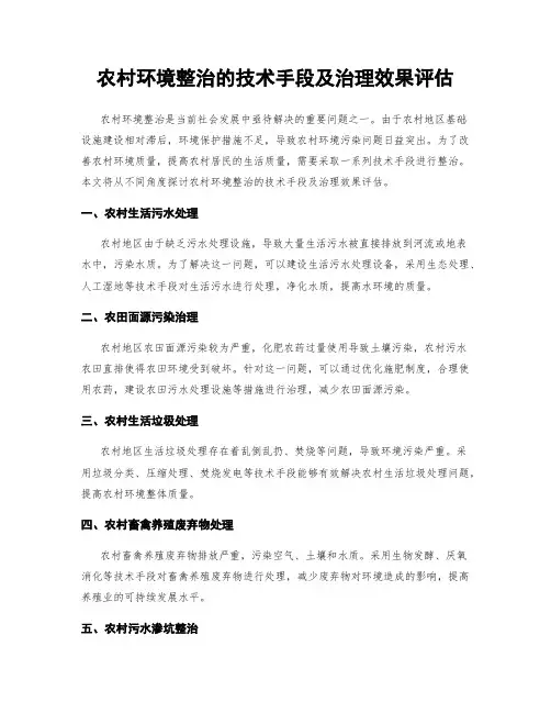 农村环境整治的技术手段及治理效果评估