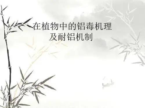 植物中的耐铝机制
