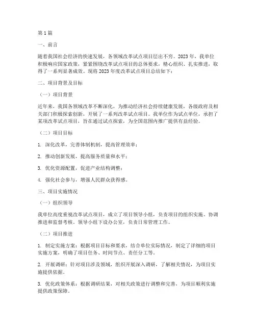 改革试点项目年度总结(3篇)