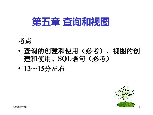 vfp学习《第5章》PPT教学课件