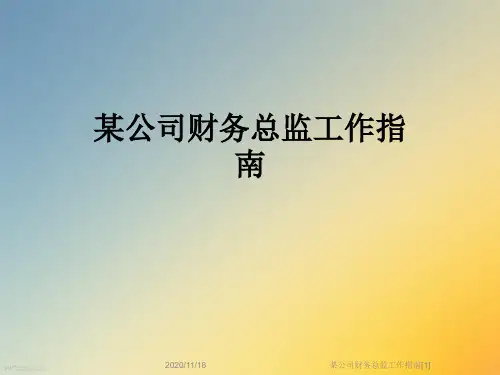 某公司财务总监工作指南[1]