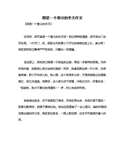 那是一个寒冷的冬天作文