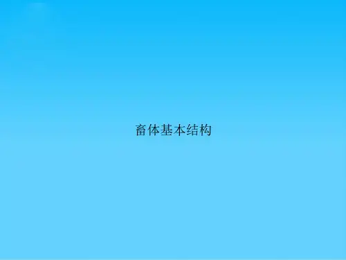 畜体基本结构