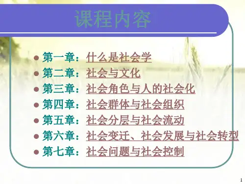 《社会学概论》全套课件 PPT