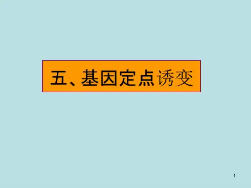 基因定点诱变技术与DNA与蛋白质互作及定点突变介绍