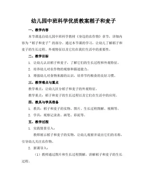 幼儿园中班科学优质教案稻子和麦子