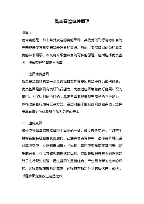 詹森赛鸽育种原理