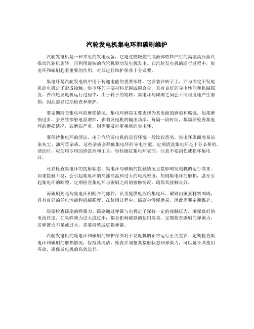 汽轮发电机集电环和碳刷维护