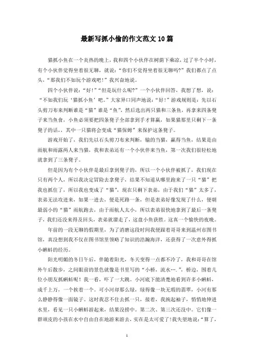 最新写抓小偷的作文范文10篇