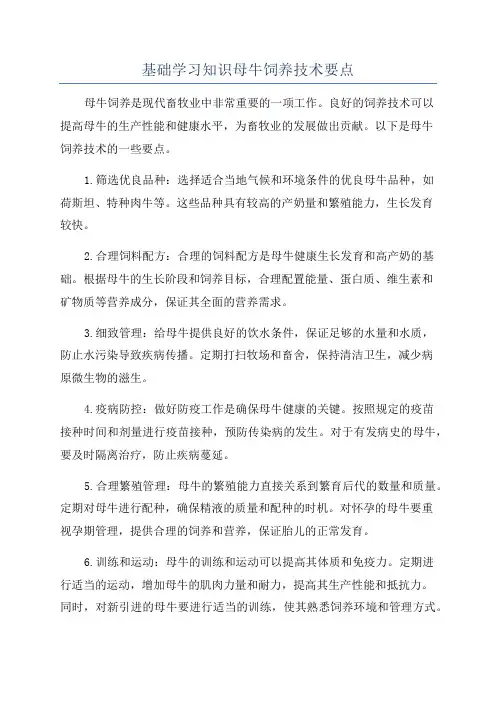 基础学习知识母牛饲养技术要点