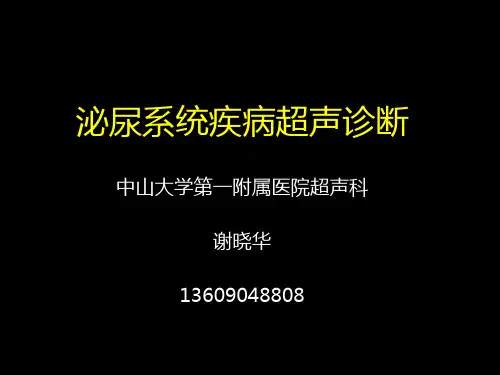 医学影像学课件：泌尿系统疾病超声诊断