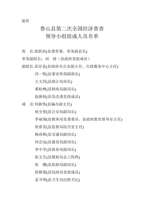 鲁山县第二次全国经济普查