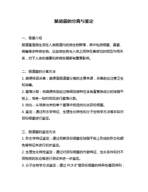 肠道菌的分离与鉴定