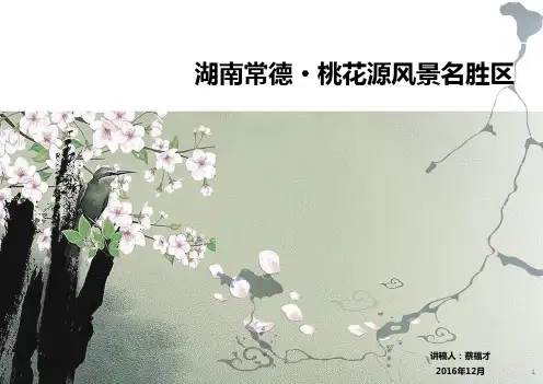 精简桃花源风景名胜区旅游策划精品PPT课件