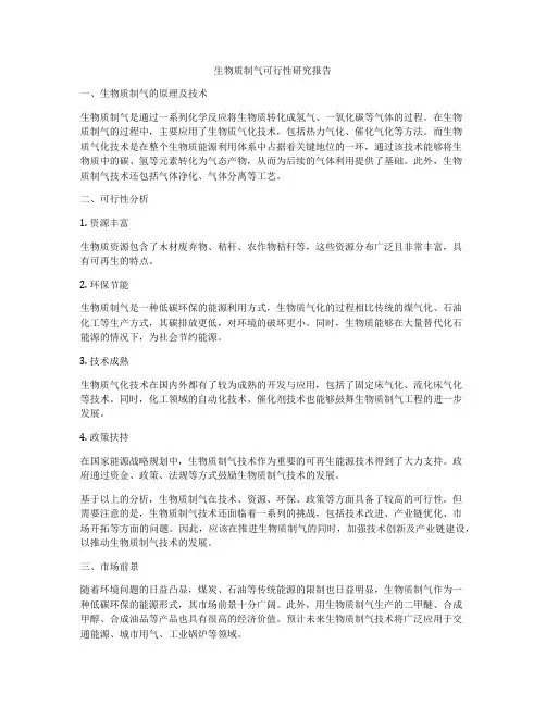 生物质制气可行性研究报告