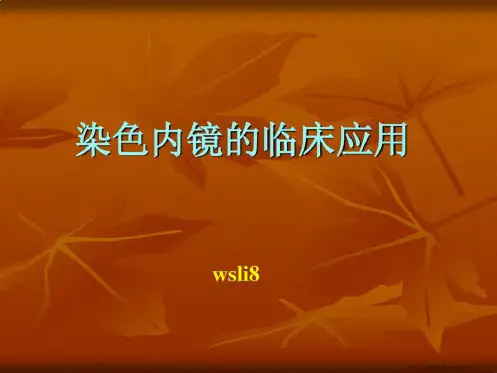 染色内镜的临床应用