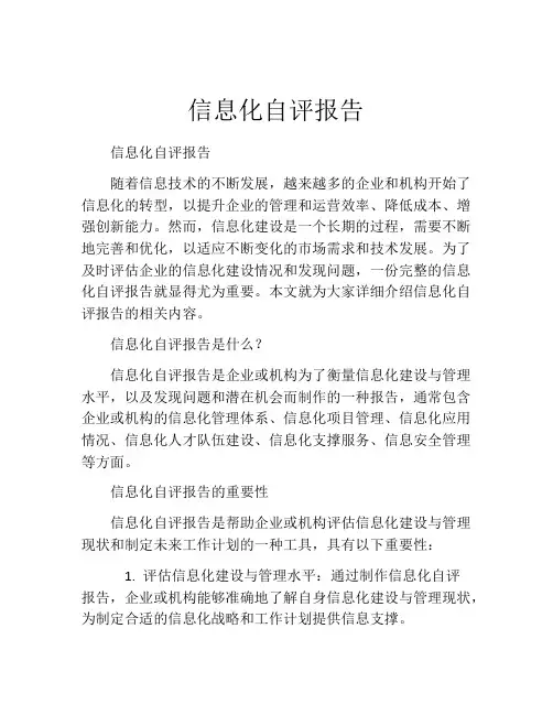 信息化自评报告