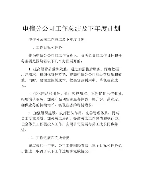 电信分公司工作总结及下年度计划