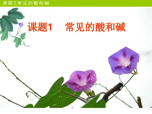 人教版九年级化学下册第十单元课题1常见的酸和碱