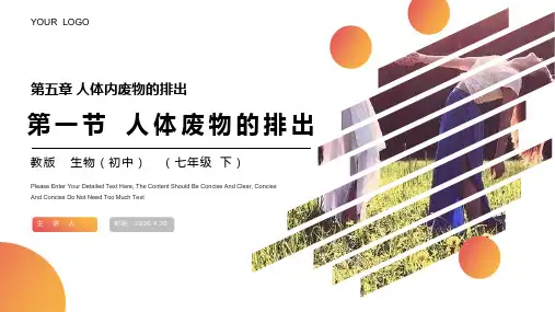 《人体废物的排出》人教版生物七年级初一下册PPT课件