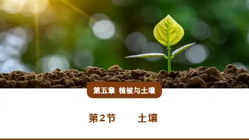 5.2土壤课件(共51张PPT)