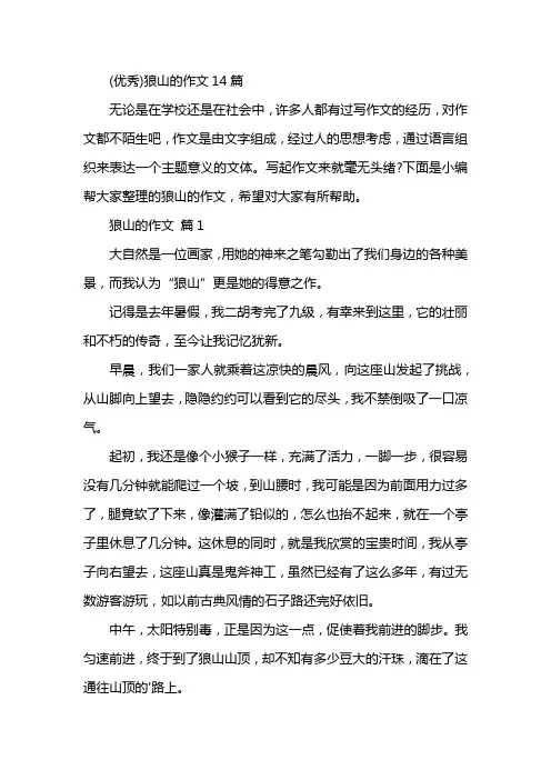 (优秀)狼山的作文14篇