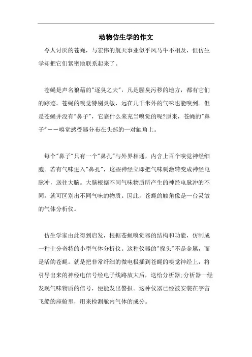 动物仿生学的作文