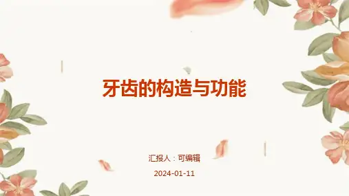 牙齿的构造与功能ppt课件