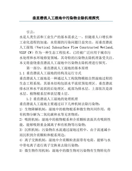 垂直潜流人工湿地中污染物去除机理研究