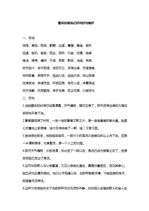 鲁滨孙漂流记好词好句摘抄